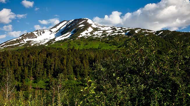 Alaska Merupakan Hutan Nasional Terbesar di Amerika Serikat